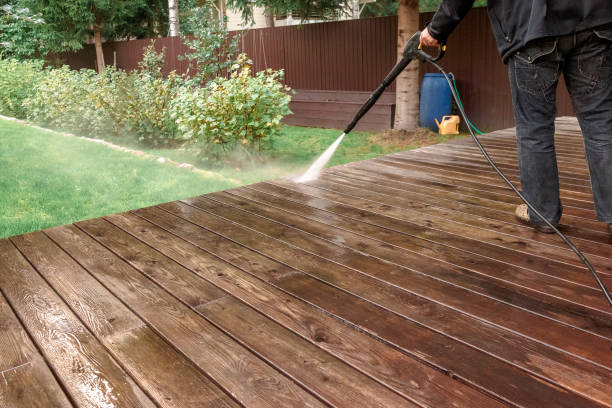 Best Fence Cleaning  in Cambridge, MN